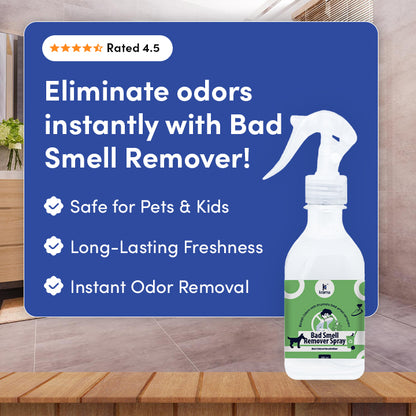 Bad Smell Remover Spray (300Ml) | 1 Bottle