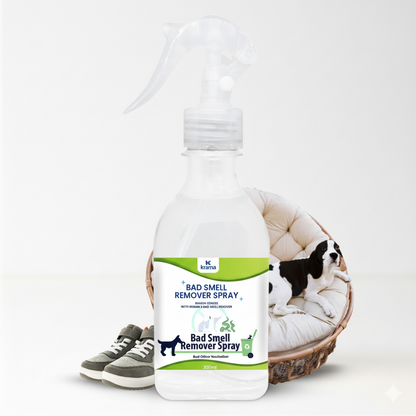 Bad Smell Remover Spray (300Ml) | 1 Bottle